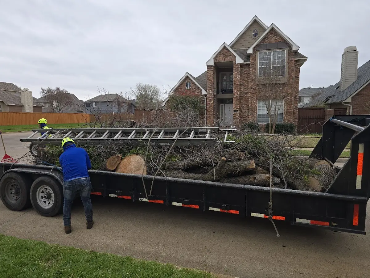 Expert Lot Clearing with proper safety equipment in Kaufman